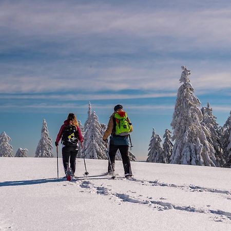 Schwarzwaldhorst Fewo 2 - Mit 4 Schlafzimmer - Todtnau, Liftverbund Feldberg エクステリア 写真