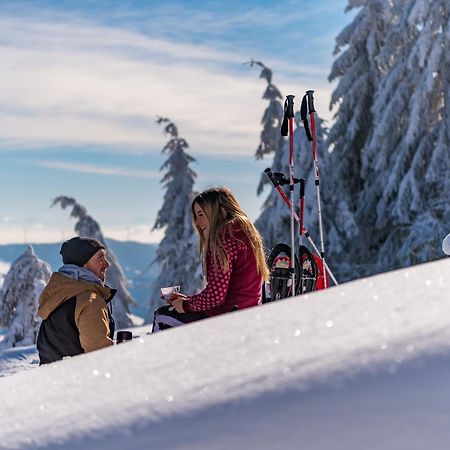 Schwarzwaldhorst Fewo 2 - Mit 4 Schlafzimmer - Todtnau, Liftverbund Feldberg エクステリア 写真