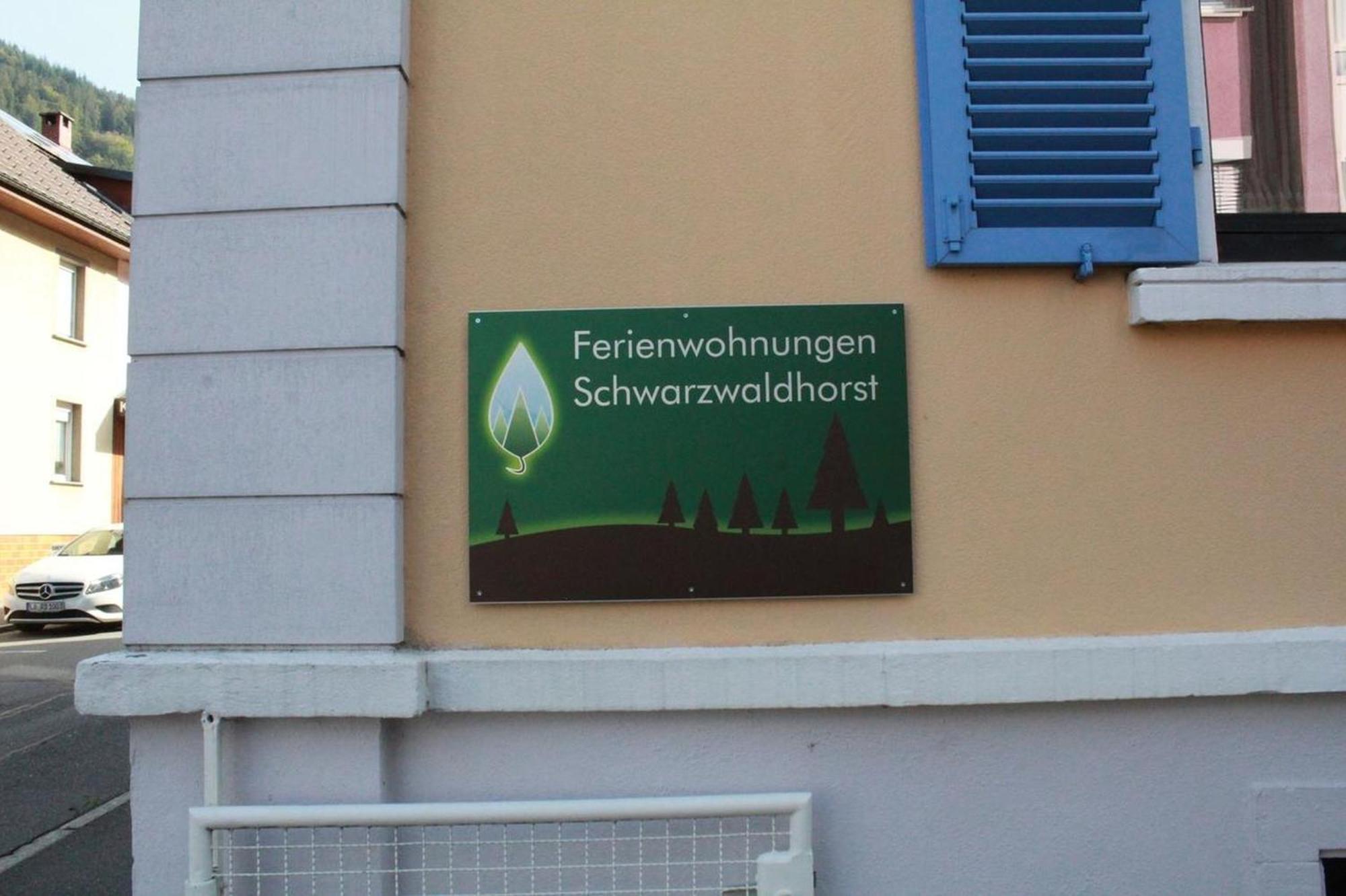 Schwarzwaldhorst Fewo 2 - Mit 4 Schlafzimmer - Todtnau, Liftverbund Feldberg エクステリア 写真