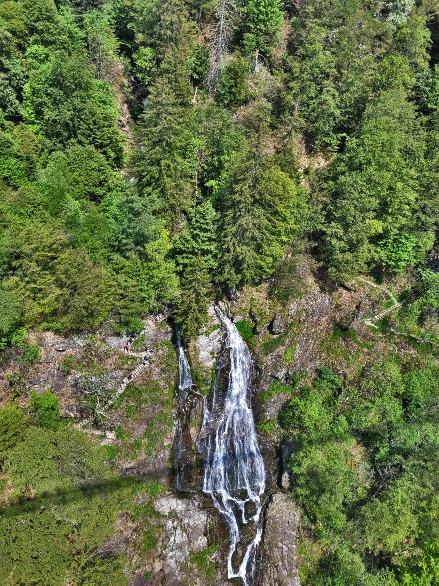 Schwarzwaldhorst Fewo 2 - Mit 4 Schlafzimmer - Todtnau, Liftverbund Feldberg エクステリア 写真