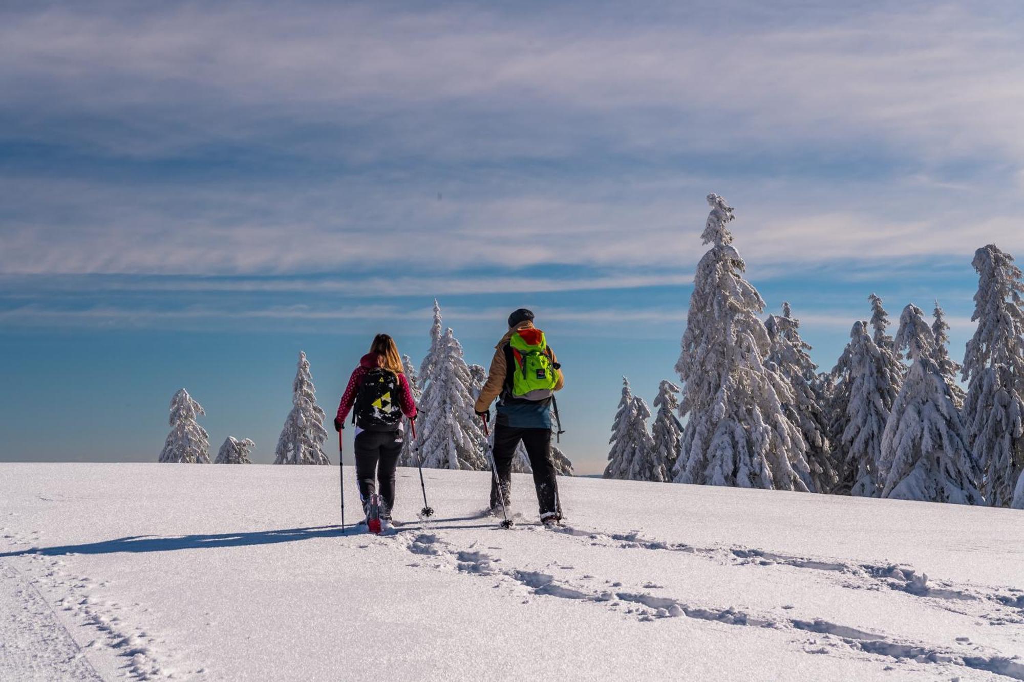 Schwarzwaldhorst Fewo 2 - Mit 4 Schlafzimmer - Todtnau, Liftverbund Feldberg エクステリア 写真